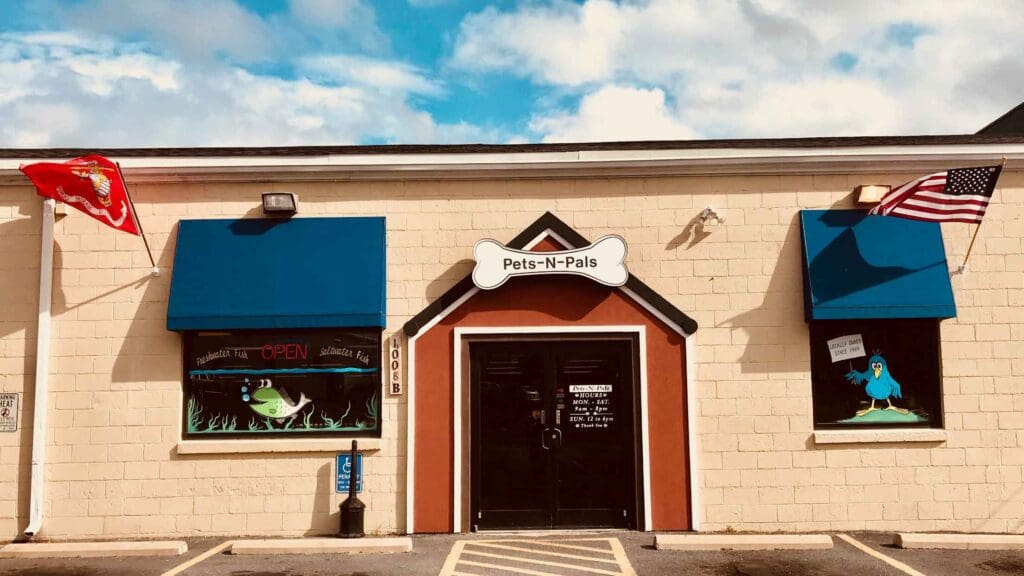 About Our Company Pets N Pals Staunton, Virginia