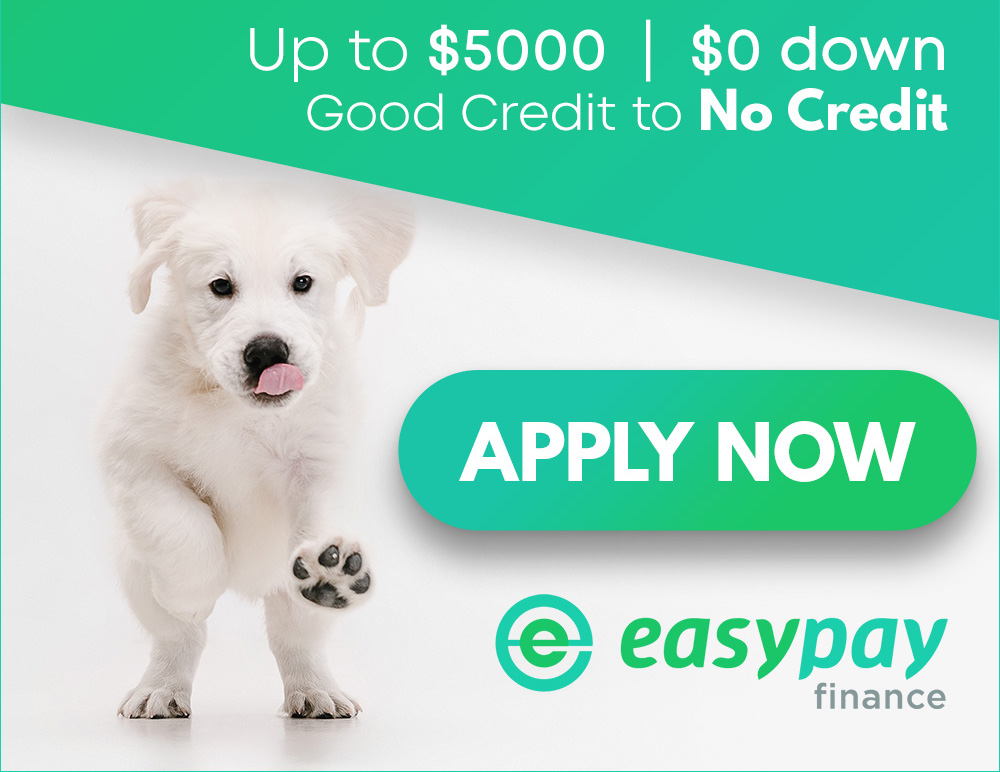 Financing Options Visit us at Pets N Pals in Staunton, VA!