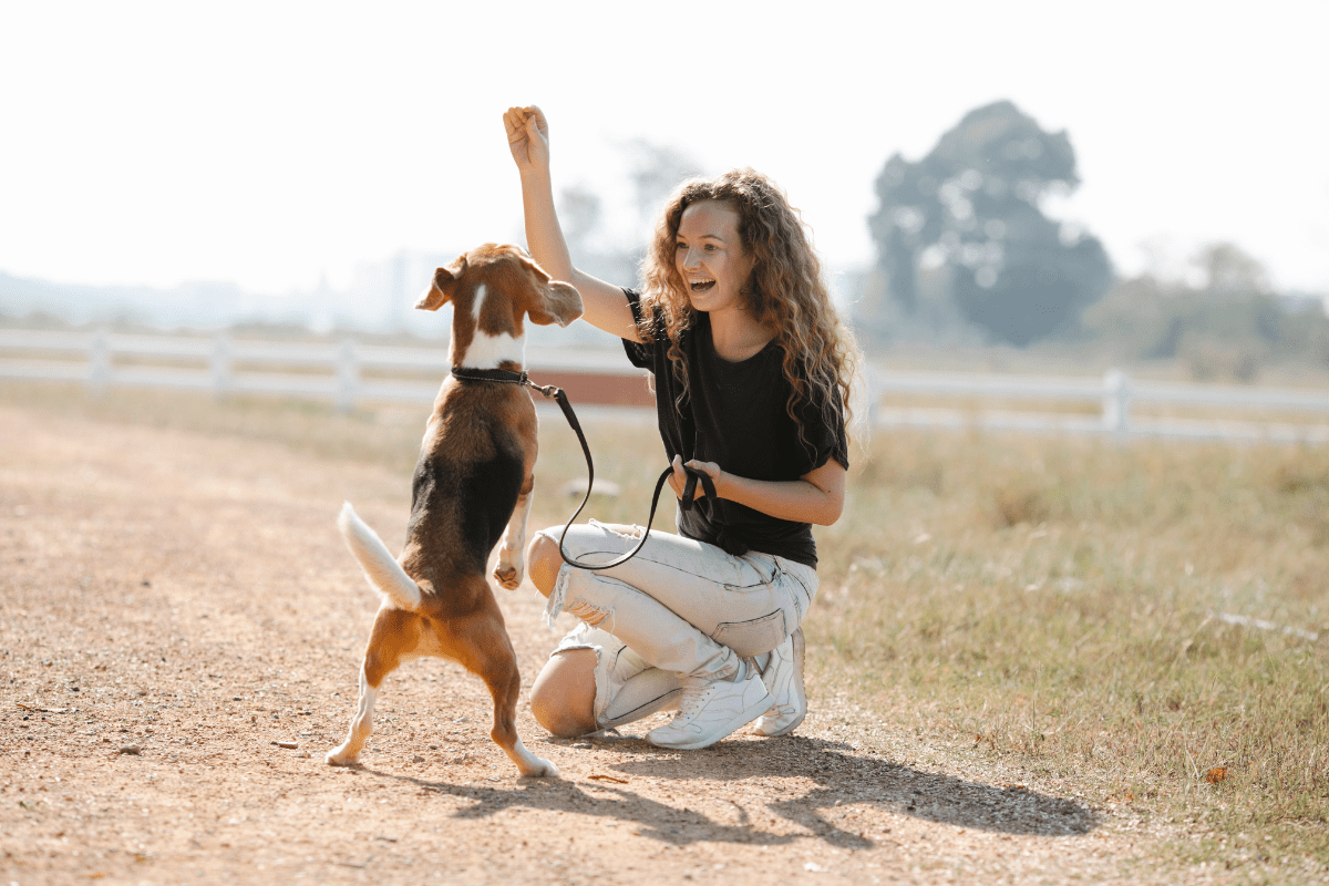 5 Fun and Simple Tips for Keeping Your Dog Happy and Healthy