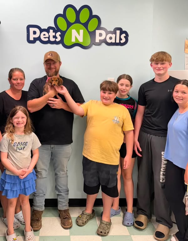 Family meeting a puppy at Pets N Pals