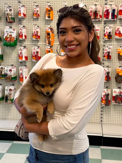 Customer holding a fluffy puppy inside Pets N Pals